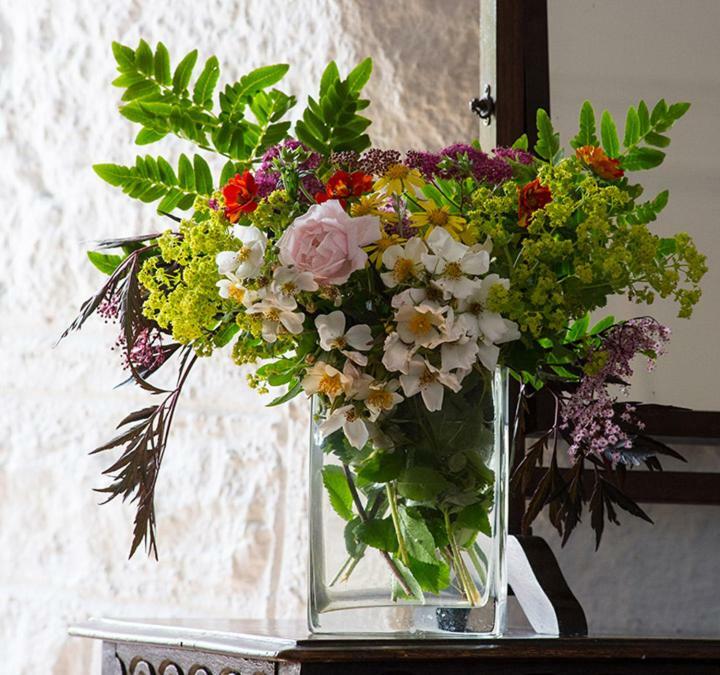 Ross Castle B&B Oldcastle Екстериор снимка
