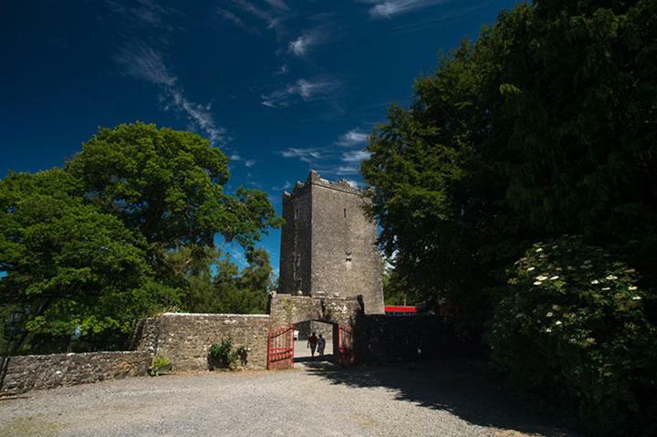 Ross Castle B&B Oldcastle Екстериор снимка